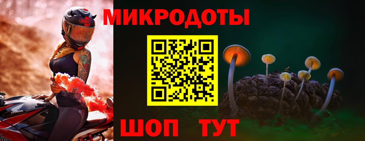 Псилоцибиновые грибы Psilocybine cubensis  даркнет сайт  Чебоксары  Псилоцибиновые грибы Psilocybine cubensis  Вход с VPN 